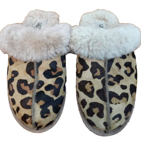 UGG SLIPPERS WOMENS 5 LEOPARD CALF HAIR LEATHER SCUFFETTE SLIP ON MULES HYGGE - Picture 1 of 16
